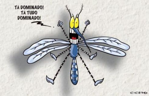 pernilongo_Tela_bella_telas_mosquiteira_de_proteção_em_ribeirao_preto